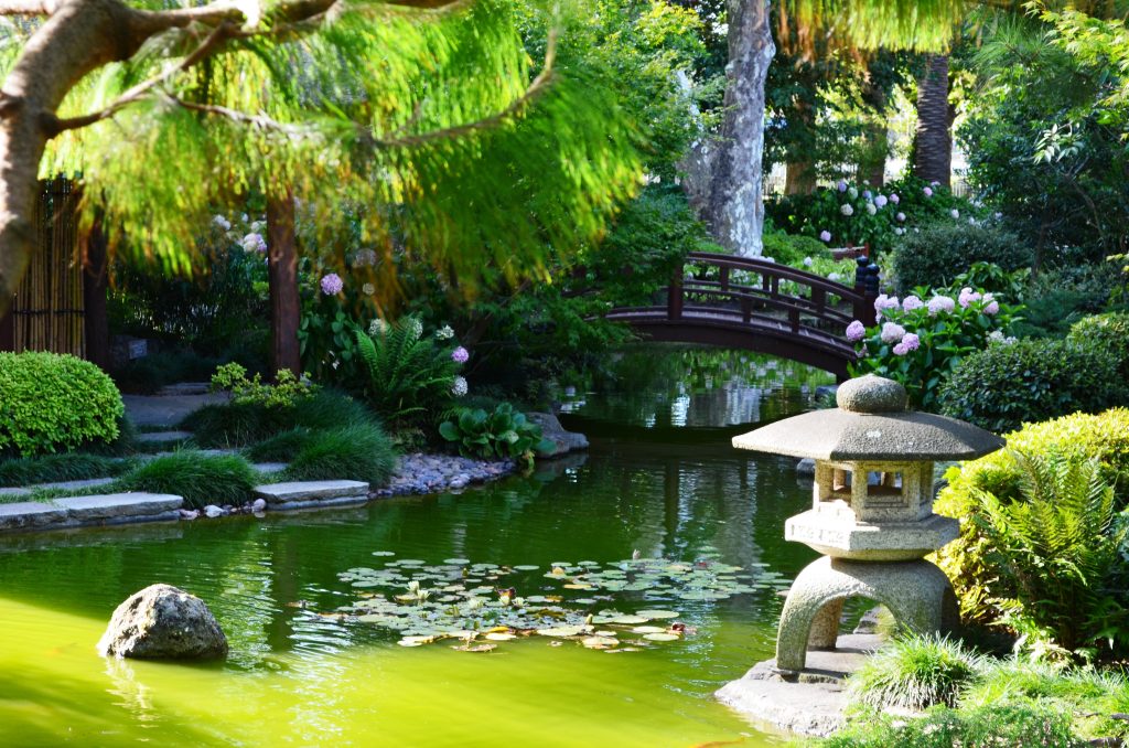 Jardin luxuriant aux arbres verdoyants, avec un petit bassin et des éléments décoratifs en pierre.